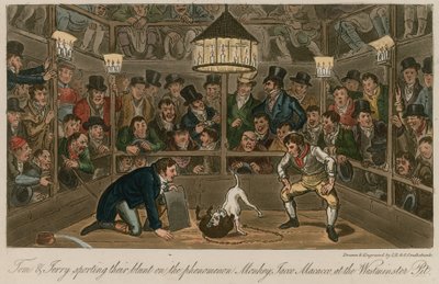 Tom og Jerry udfolder sig på fænomenet Monkey, Jacco Macacco ved Westminster Pit af Isaac, Robert and George Cruikshank