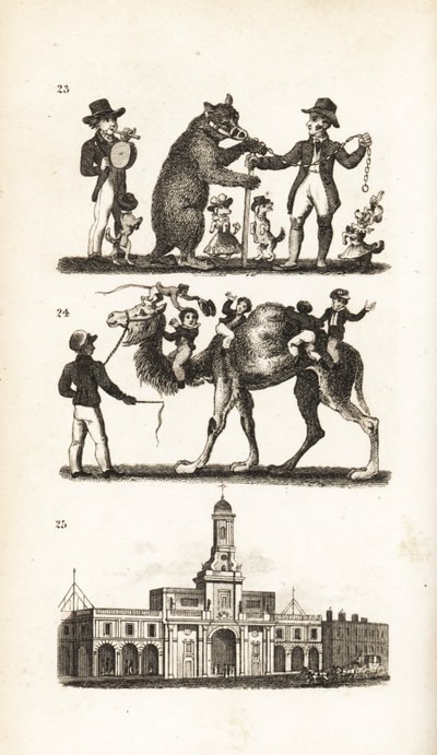 Dansende bjørn og hund, kamel og abe og Royal Exchange af Isaac Taylor