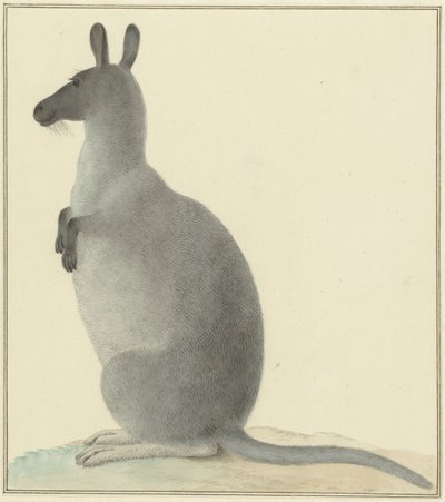 Kænguru af Isaac van Haastert