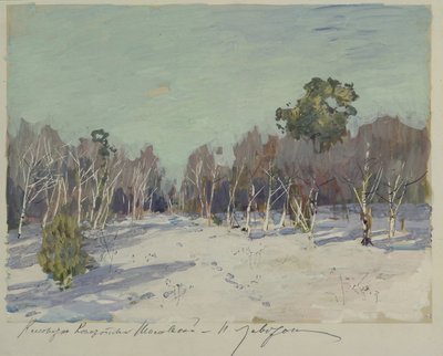 Have i sne, 1880