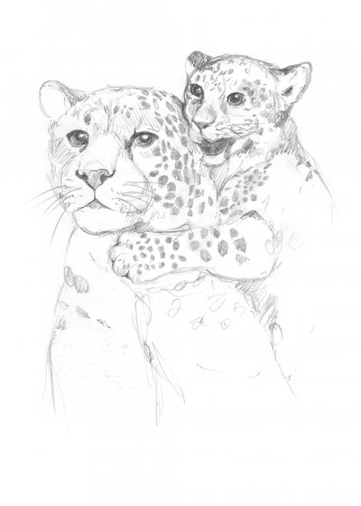 Leoparder af Isabelle Brent