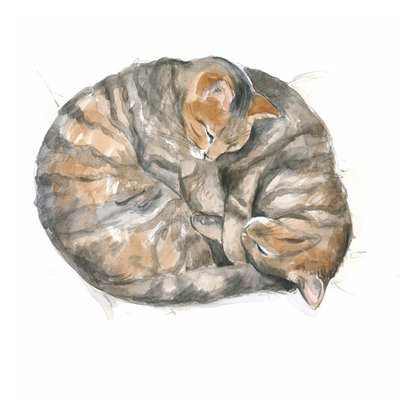 Runde katte af Isabelle Brent