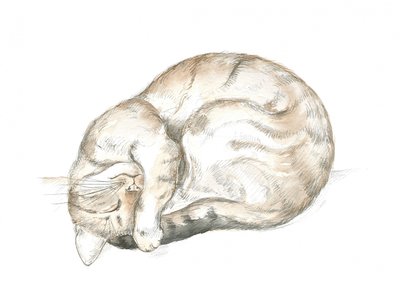Sovende stribet kat af Isabelle Brent