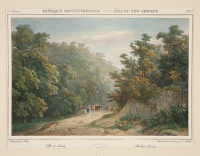 Nordamerika - staten New Jersey. nr. 49, pl. 1 af Isidore Laurent Deroy