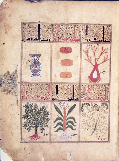 Ms. Arabe 2964 fol.49 Plants from the Treatise of Theriac after Galien, 1217 af Islamic School
