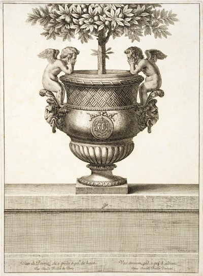 Bronzeurner som brugt til citrustræer, illustration fra 