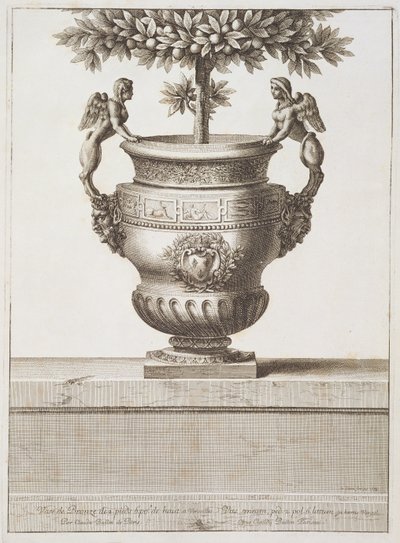 Bronzeurner som brugt til citrustræer, illustration fra 