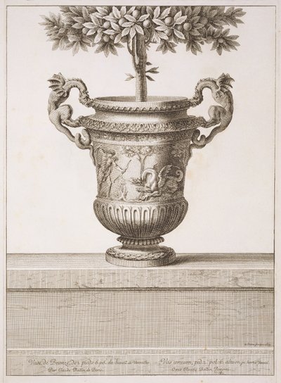 Bronzeurner som brugt til citrustræer, illustration fra 