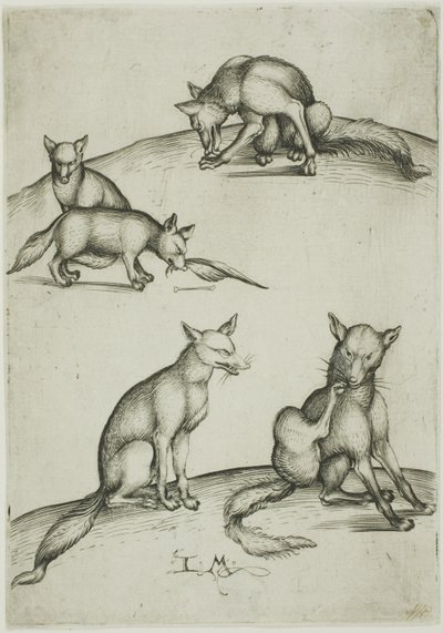 De fem ræve af Israhel van Meckenem the younger