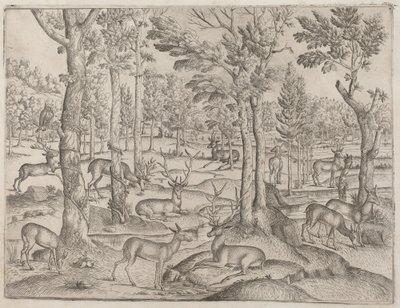 Rådyr i skoven af Italian 16th Century