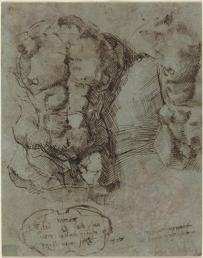 Studier af en mandlig torso af Italian 16th Century