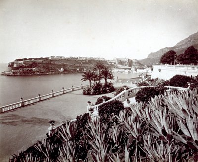 Panorama af Montecarlo. I forgrunden tæt vegetation af agaveplanter og kaktus af Italian Photographer