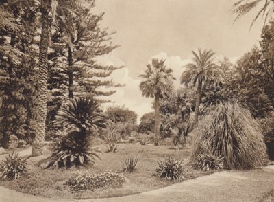 Sicilien / Sicilien: Villa Tasca, Palermo (s/h-foto) af Italian Photographer