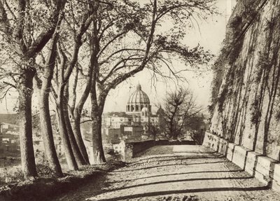 St Peters set fra Janiculus af Italian Photographer