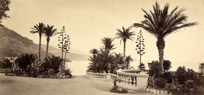 Haven ved kasinoet i Monte Carlo i Fyrstendømmet Monaco af Italian Photographer