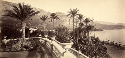 Haven ved kasinoet i Monte Carlo i Fyrstendømmet Monaco af Italian Photographer