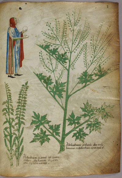 En figur iført kjole holder en hvid globus i hver hånd; planter, ca. 1440 (blæk og farve på pergament) af Italian School