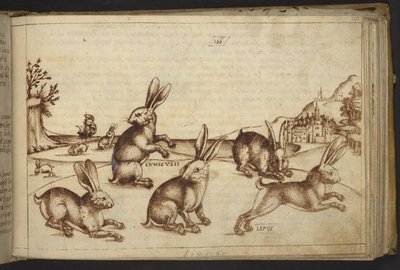 Tilføje. 82955, f.165 Kaniner (