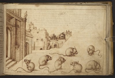 Tilføje. 82955, f.192   Mus (