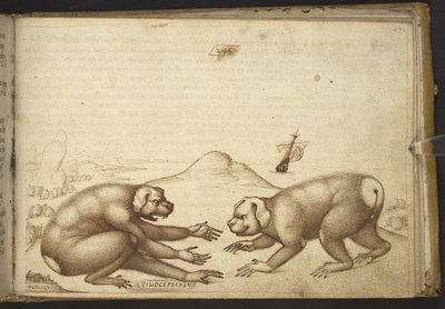 Tilføje. 82955, f.244 Hundelignende væsner, der kæmper (