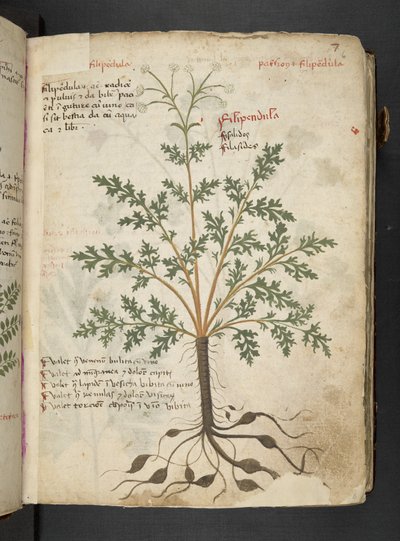 Tilføj MS 41623 