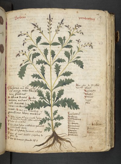 Tilføj MS 41623 
