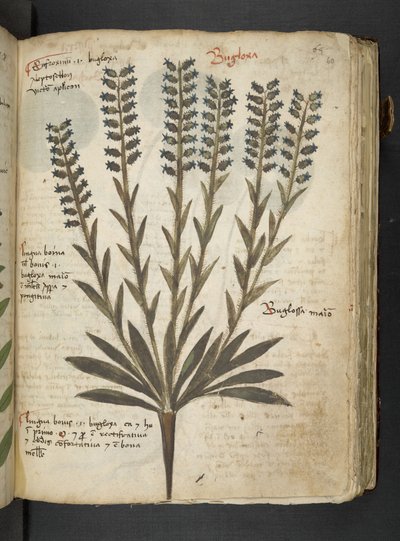 Tilføj MS 41623 
