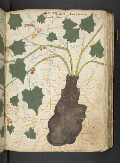 Tilføj MS 41623 