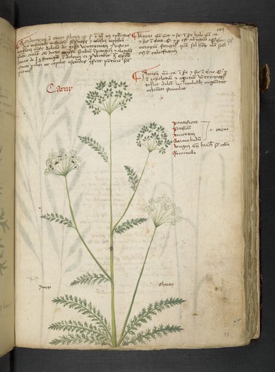 Tilføj MS 41623 