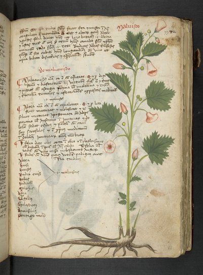 Tilføj MS 41623 