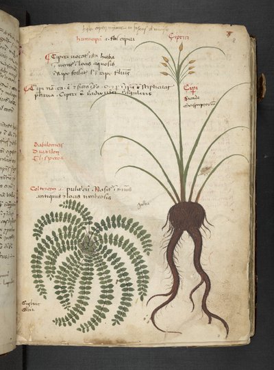 Tilføj MS 41623 