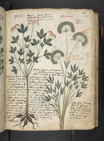 Tilføj MS 41623 