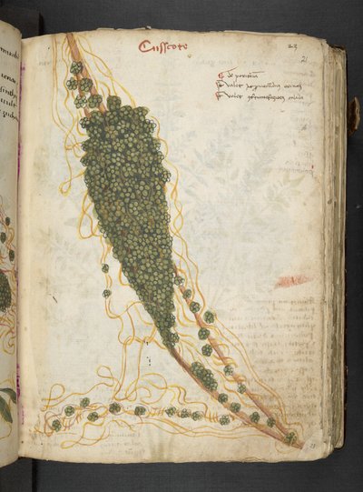 Tilføj MS 41623 