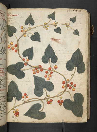 Tilføj MS 41623 