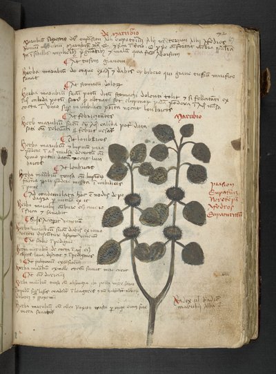 Tilføj MS 41623 