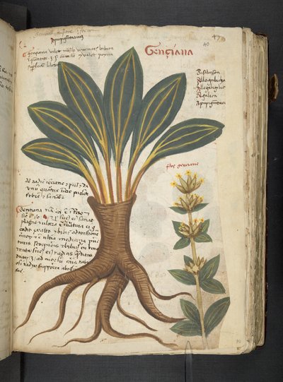 Tilføj MS 41623 