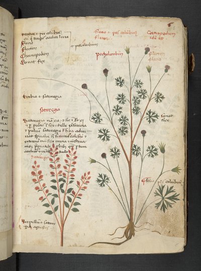 Tilføj MS 41623 
