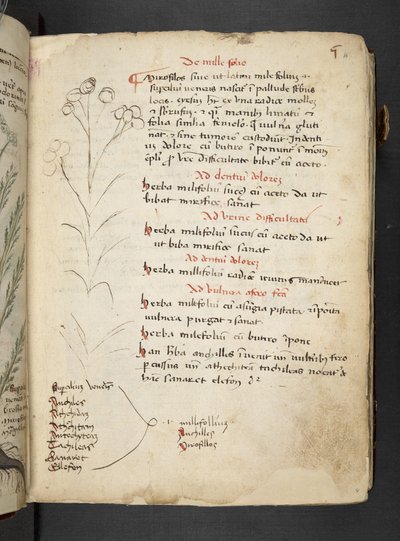 Tilføj MS 41623 