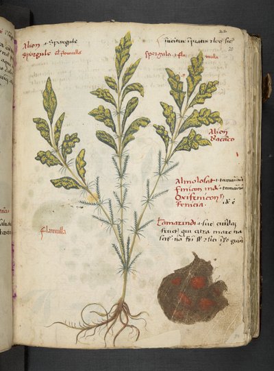 Tilføj MS 41623 