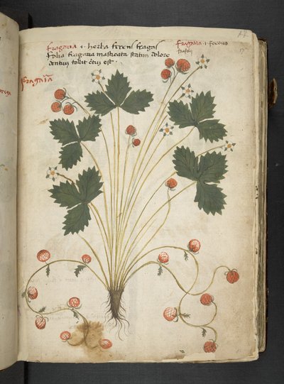 Tilføj MS 41623 