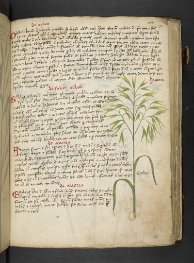 Tilføj MS 41623 