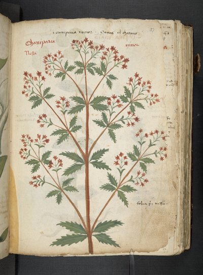 Tilføj MS 41623 