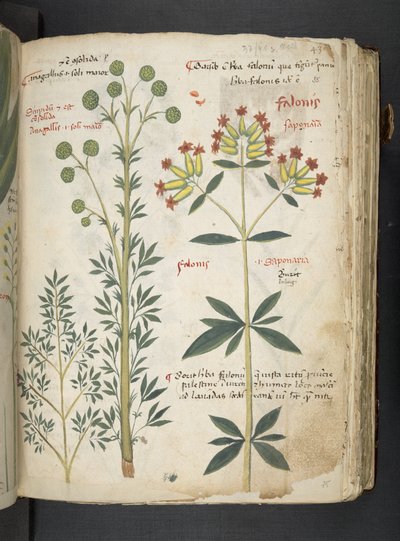 Tilføj MS 41623 