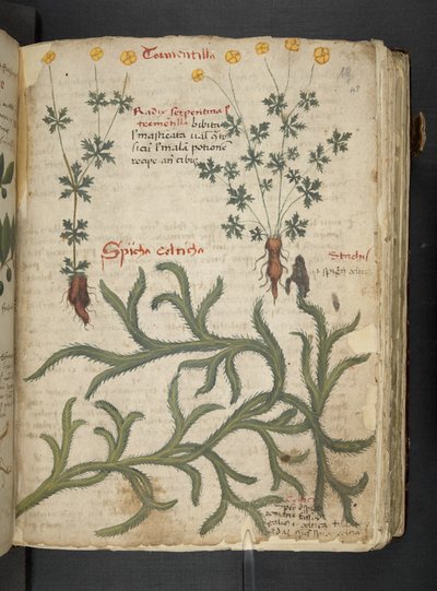 Tilføj MS 41623 