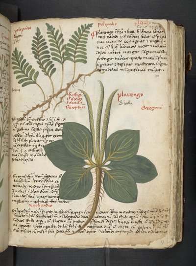 Tilføj MS 41623 
