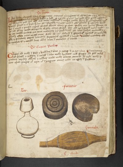 Tilføj MS 41623 f.124r 