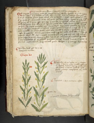 Tilføj MS 41623 f.39v 