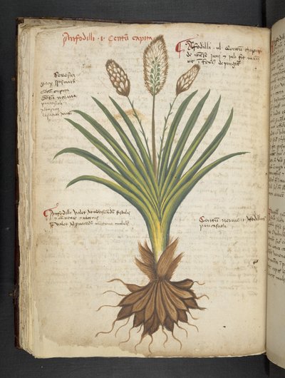 Tilføj MS 41623 f.50v 