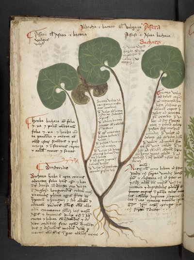 Tilføj MS 41623 f.60v 