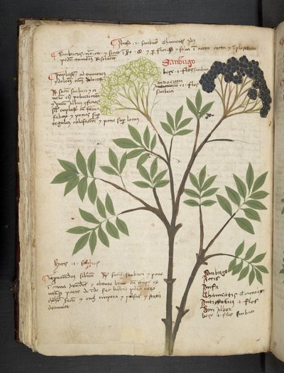 Tilføj MS 41623 f.72v 